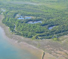 web-cecil-bay-1