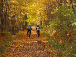 wheelway conservancy photo